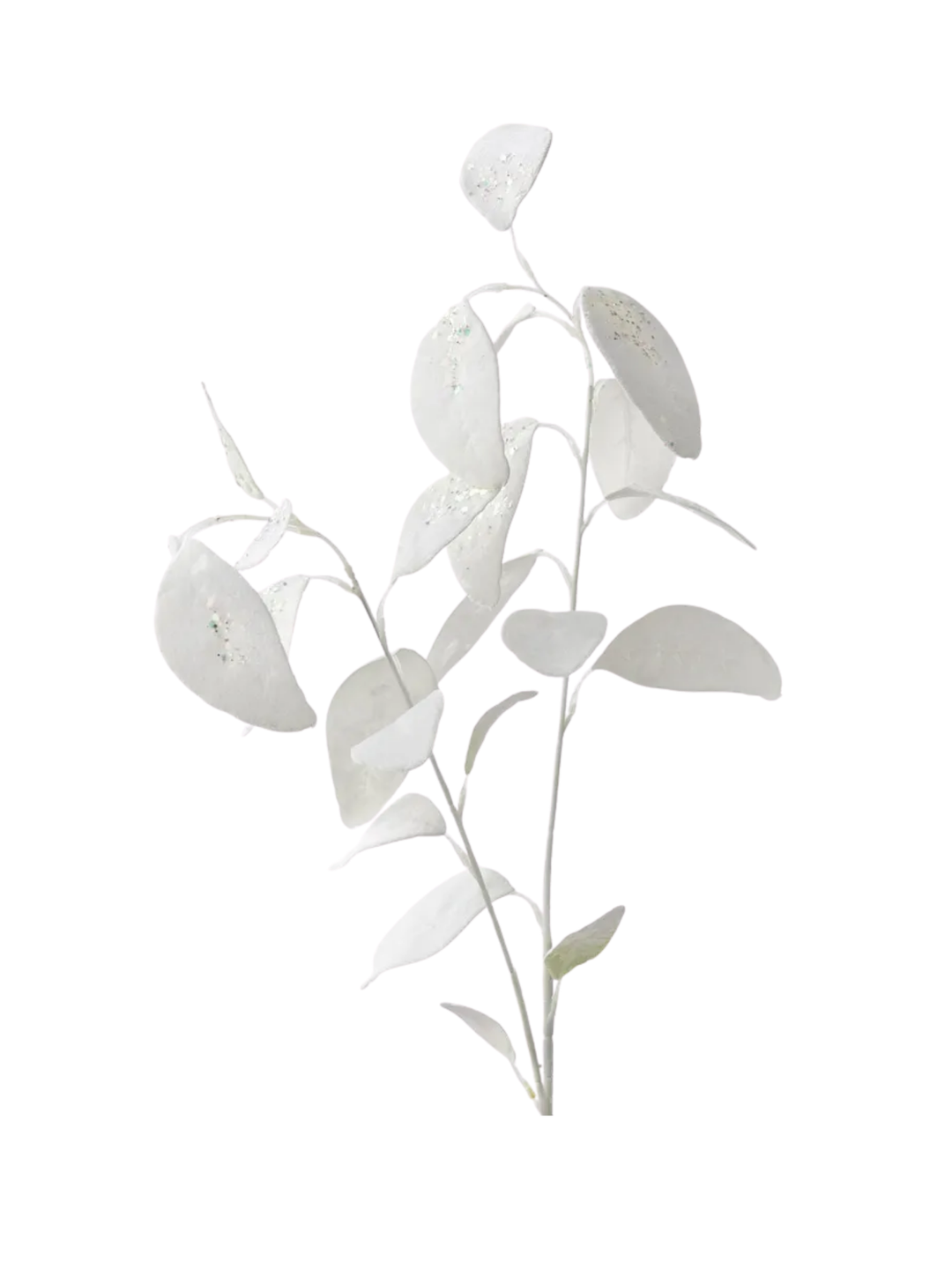 Eucalyptus White Velvet Spray Pack of 1