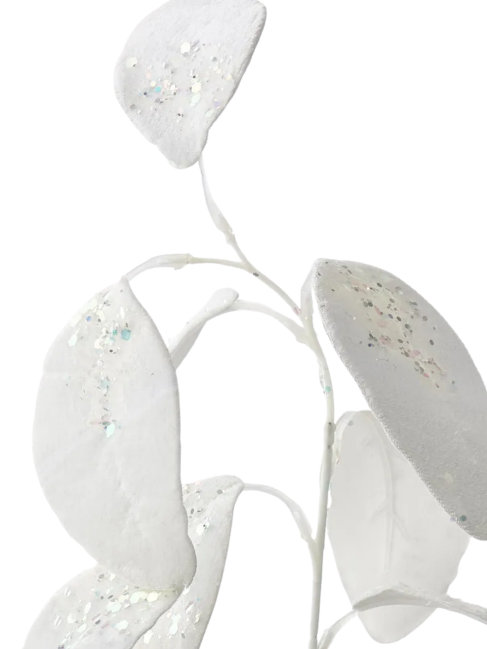 Eucalyptus White Velvet Spray Pack of 1