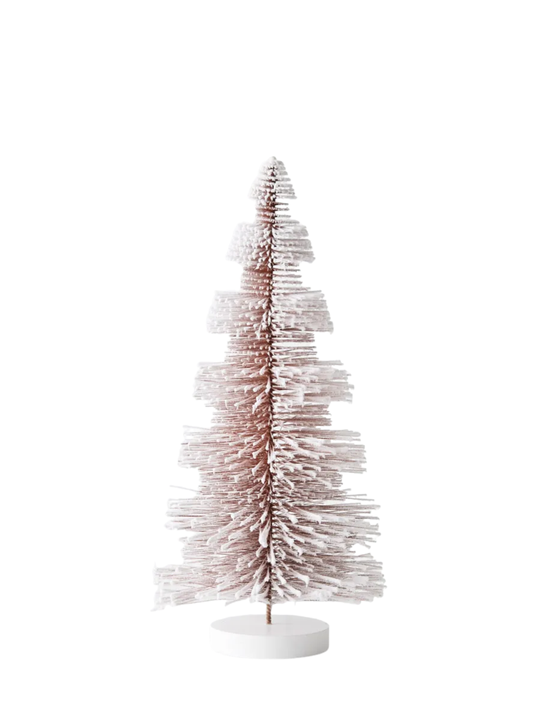 Tree Pine Icelandic Pack of 1
