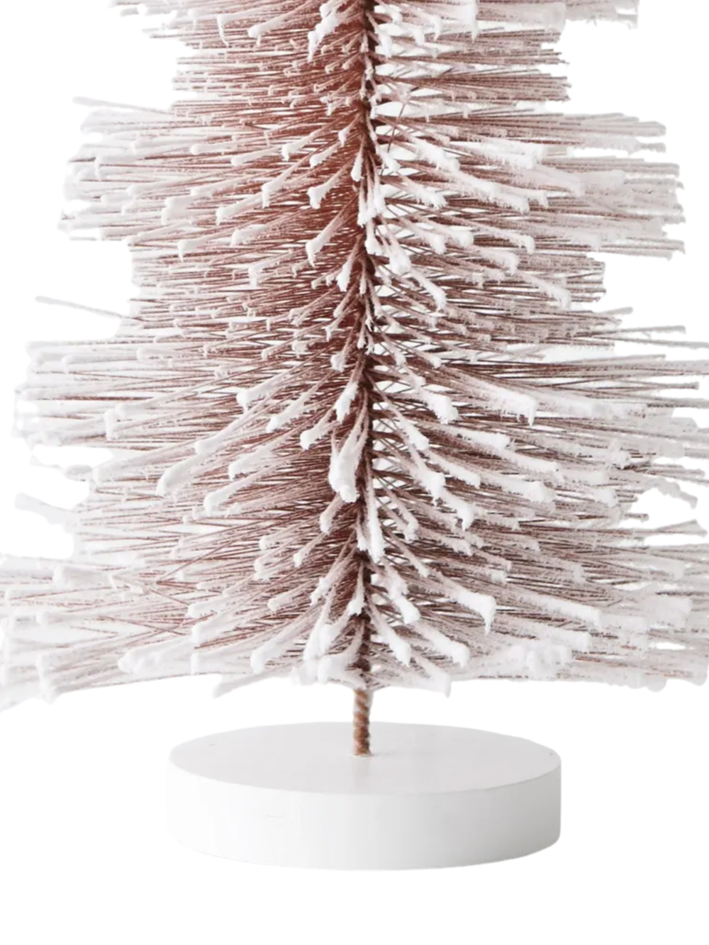 Tree Pine Icelandic Pack of 1