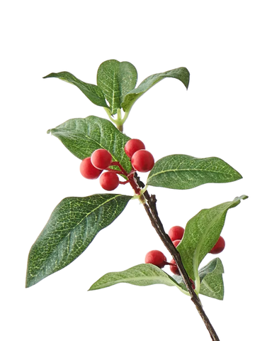 Berry Leaf Spray Pack of 1