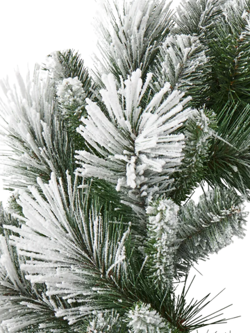 Wreath Aspen Pine White Green Pack of 1