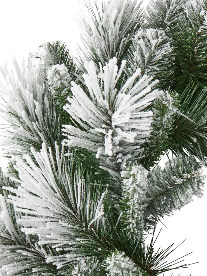 Wreath Aspen Pine White Green Pack of 1