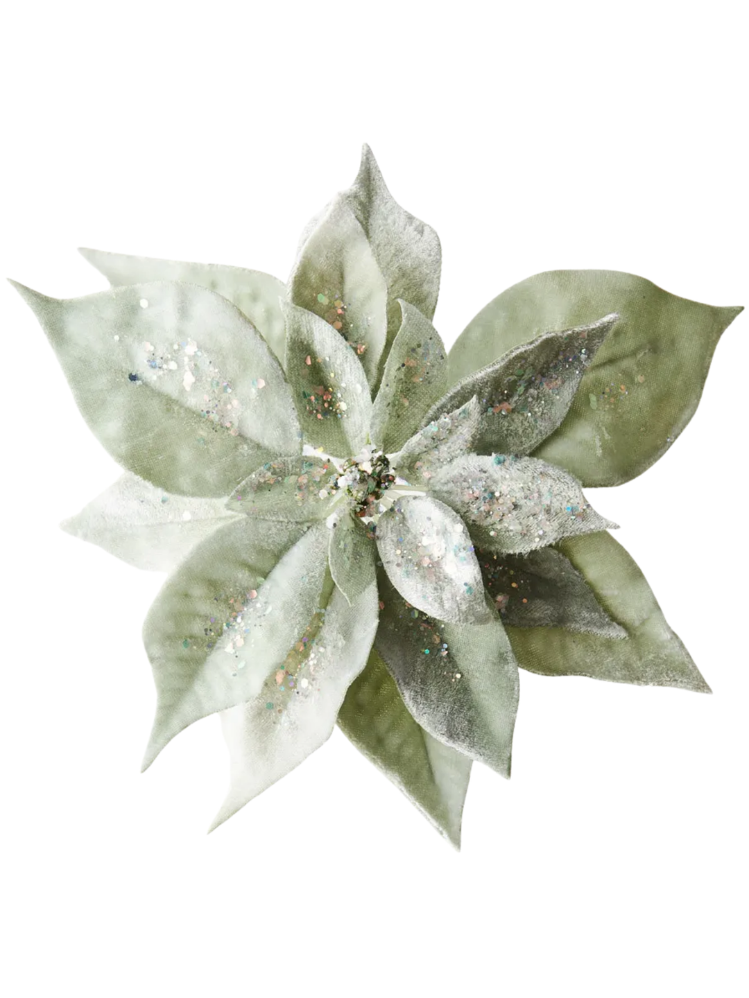 Clip Poinsettia Sage Green Velvet Pack of 1