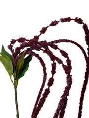 Burgundy Amaranthus - 120cm Pack of 1
