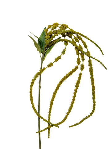 Green Amaranthus - 120cm Pack of 1