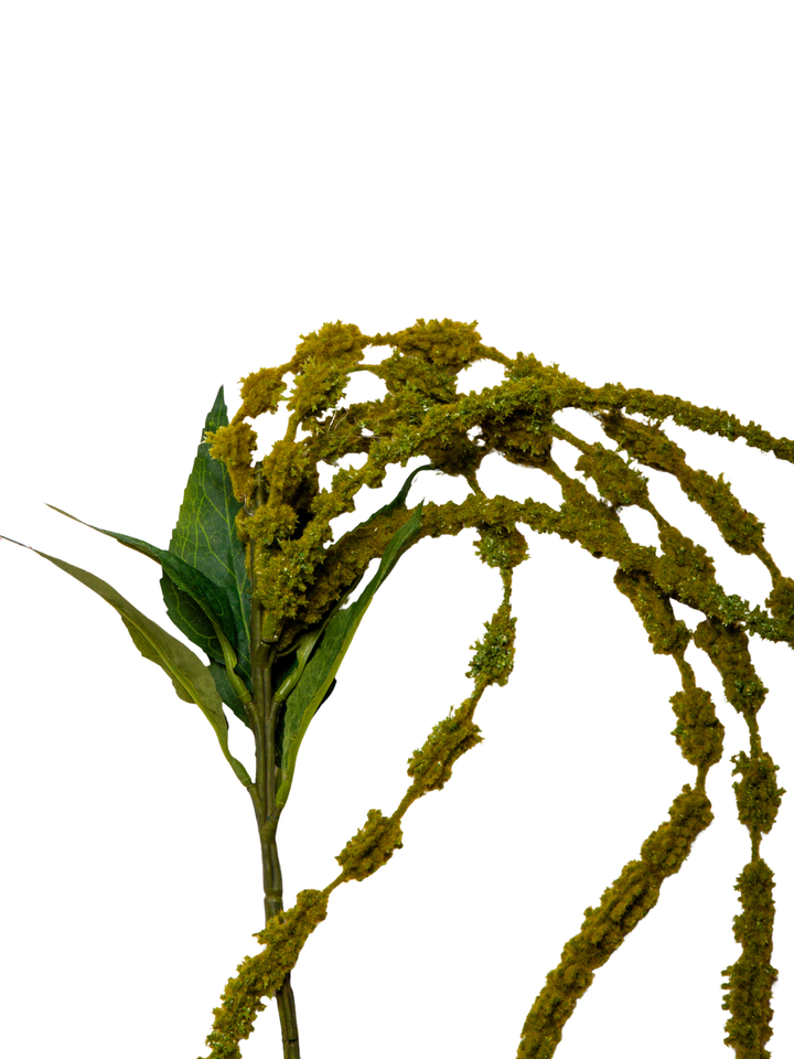 Green Amaranthus - 120cm Pack of 1