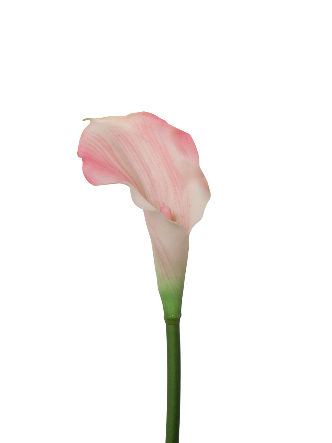 Pink Calla Lily - 55cm Pack of 1