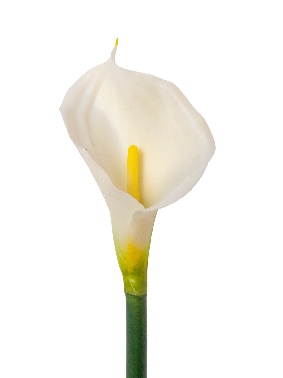 White Calla Lily - Large - 65cm Pack of 1