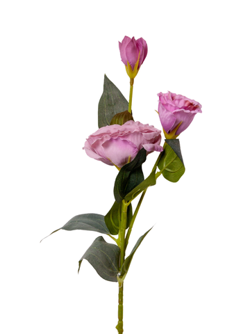 Mauve Lisianthus - 70cm Pack of 1
