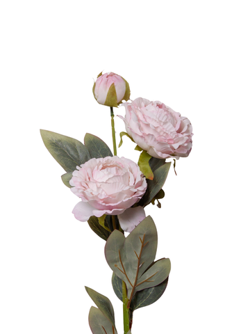 Blush Peony Spray - 72cm Pack of 1
