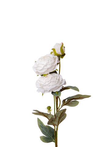 White Peony Spray - 72cm Pack of 1