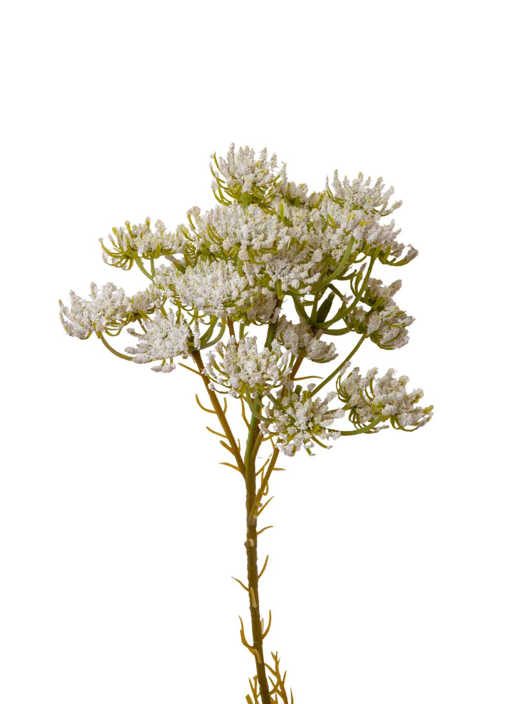 White Queen Anne's Lace - 63cm Pack of 1