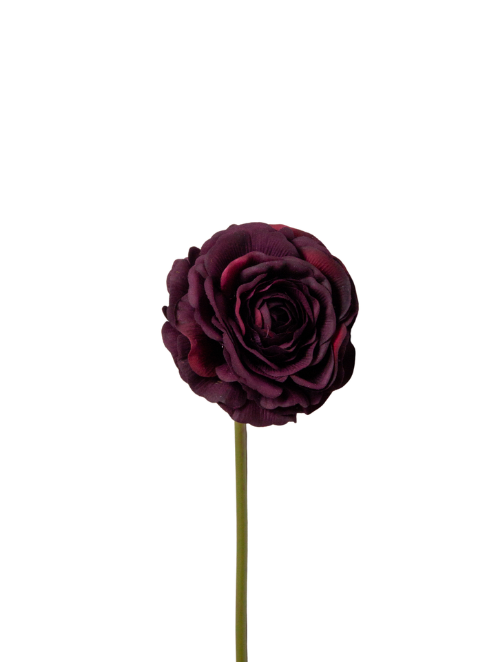 Burgundy Ranunculus - 34cm Pack of 1