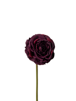 Burgundy Ranunculus - 34cm