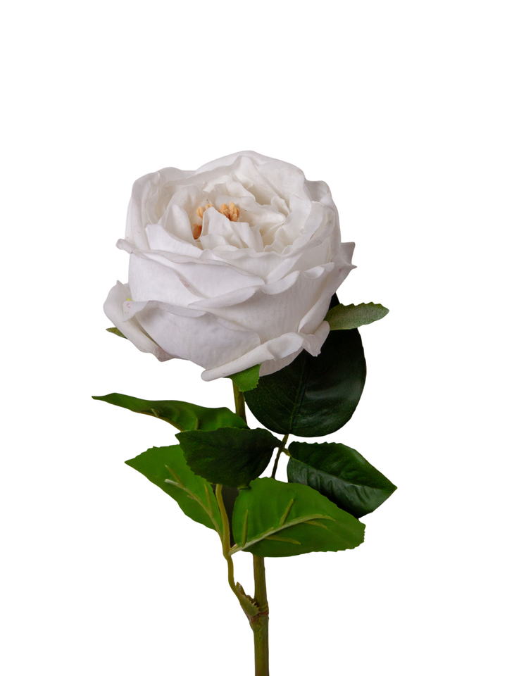 White Garden Rose - 44cm Pack of 1