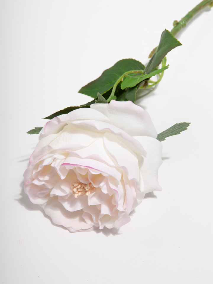Ivory & Pink Garden Rose - 44cm