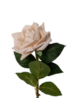 Cream Reflexed Rose - 56cm