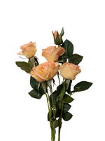 Apricot Rose Spray - 70cm