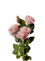 Heritage Rose Spray - 70cm