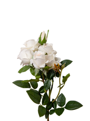 Nude Rose Spray - 70cm Pack of 1