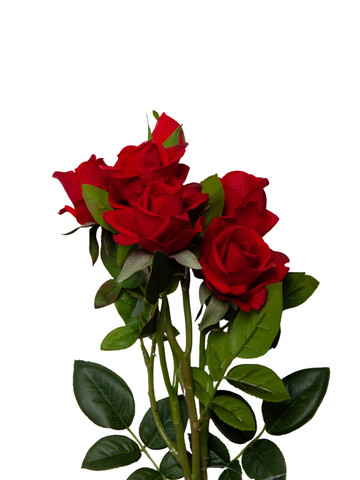 Red Rose Spray - 70cm Pack of 1