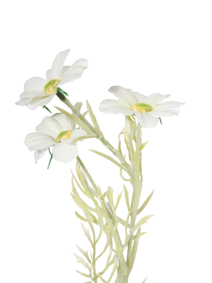 White Cosmos - 43cm