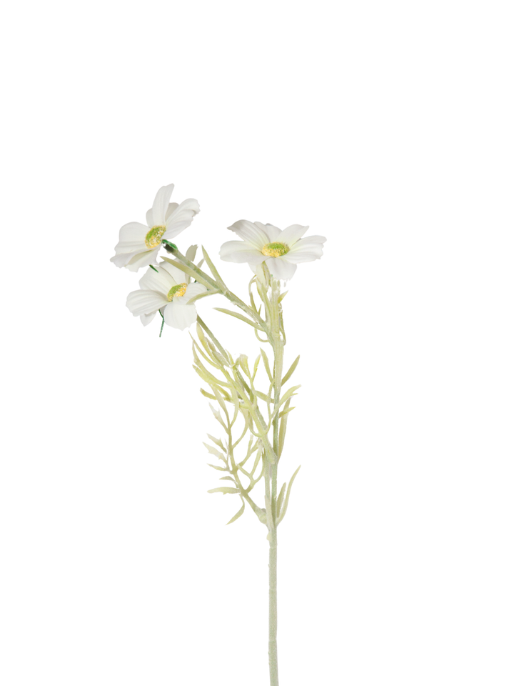White Cosmos - 43cm