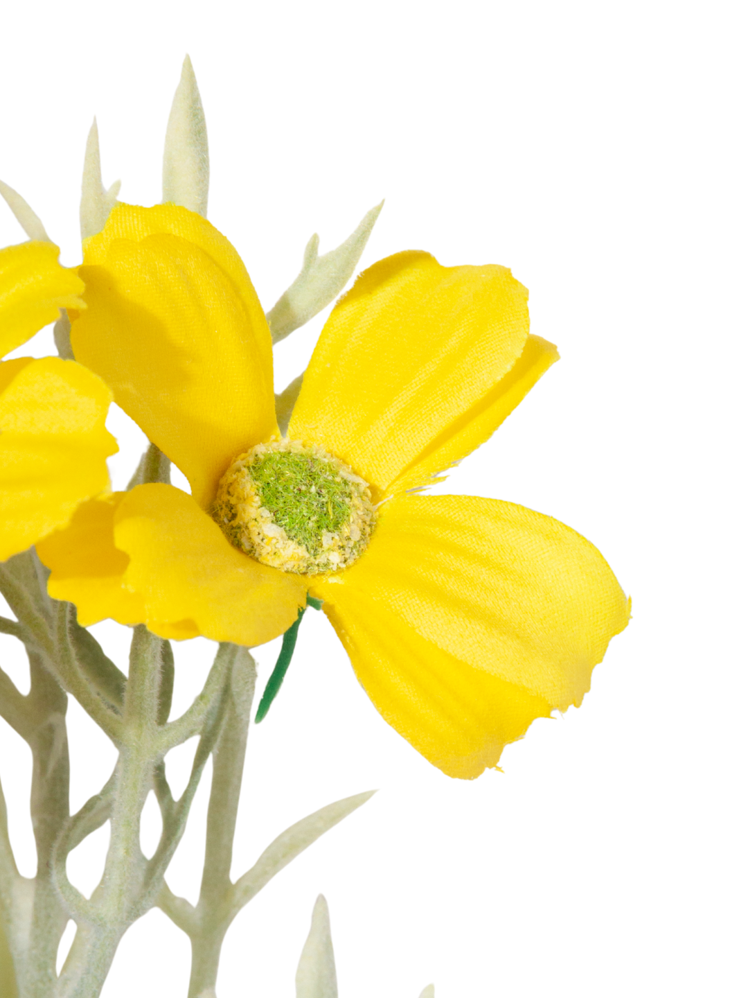 Yellow Cosmos - 43cm