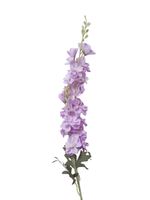 Lilac Delphinium - 85cm