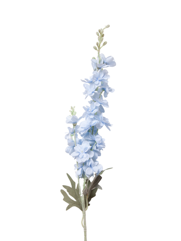 Powder Blue Delphinium - 85cm Pack of 1