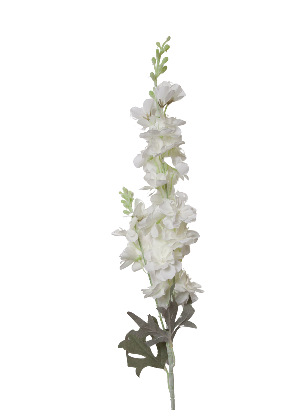 White Delphinium - 85cm Pack of 1