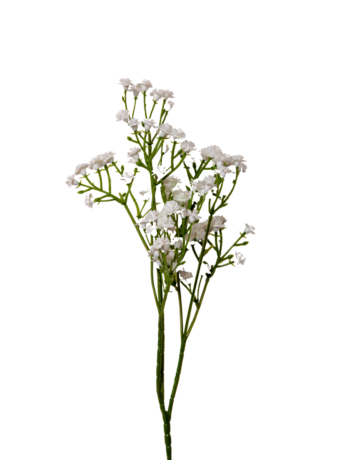 White Gypsophila - 54cm Pack of 1