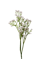 White Gypsophila - 54cm
