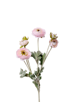 Blush Ranunculus Spray - 69cm