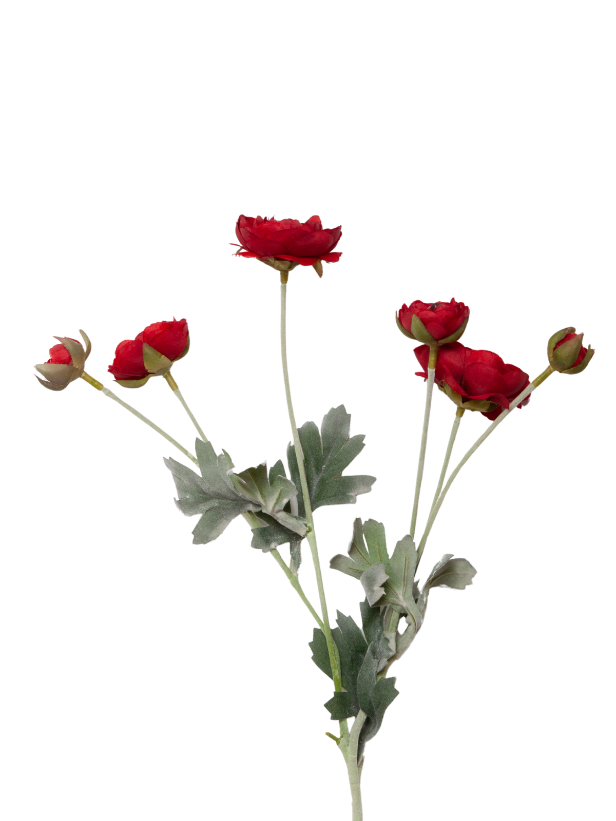 Red Ranunculus Spray - 69cm Pack of 1