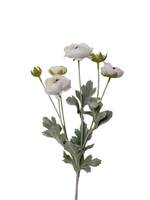 White Ranunculus Spray - 69cm
