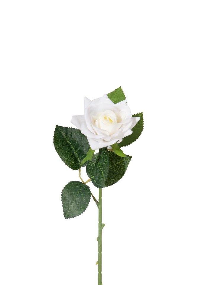 White Standard Rose - 43cm