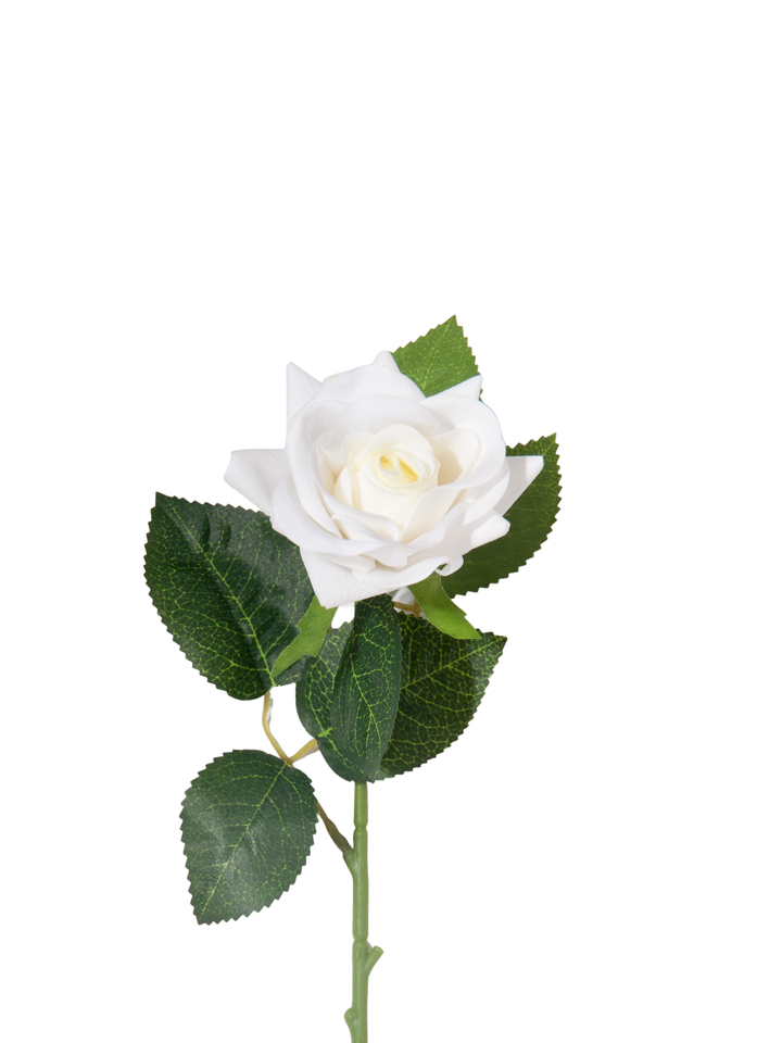 White Standard Rose - 43cm