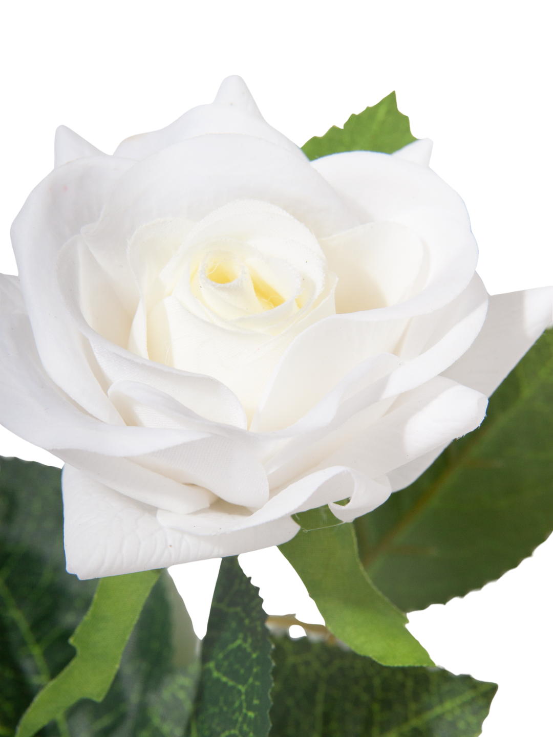 White Standard Rose - 43cm