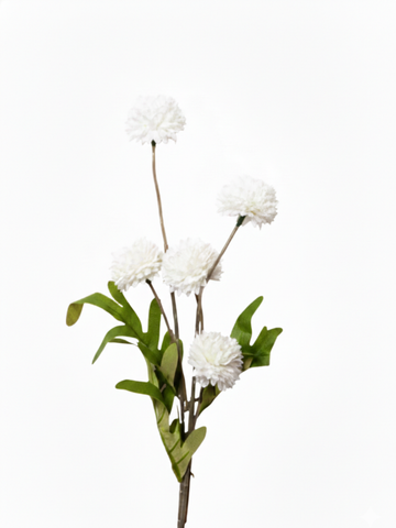 White Chrysanthemums - disbuds - 52cm Pack of 1