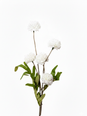 White Chrysanthemums - disbuds - 52cm Pack of 1