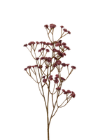 Burgundy Gypsophila - 62cm