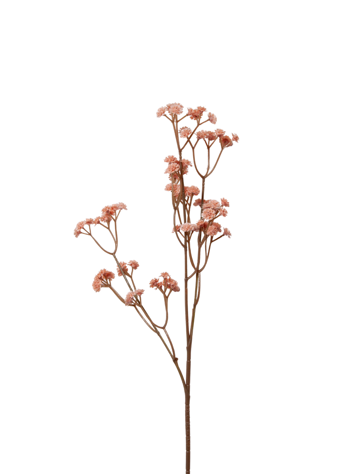 Peach Gypsophila - 62cm Pack of 1