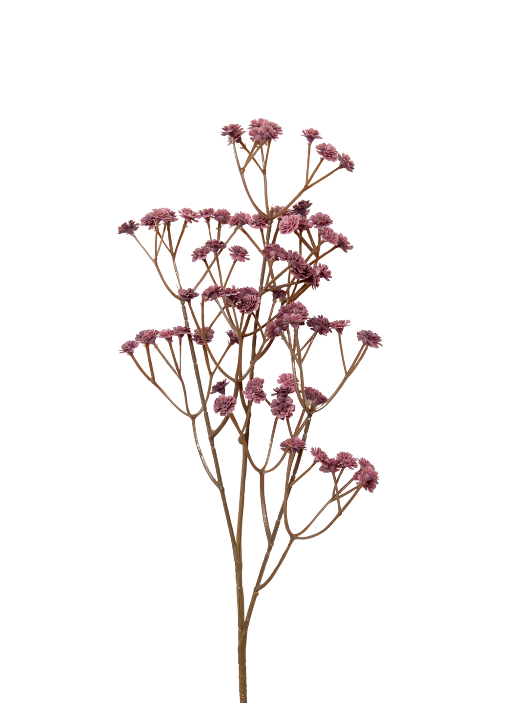Plum Gypsophila - 62cm Pack of 1