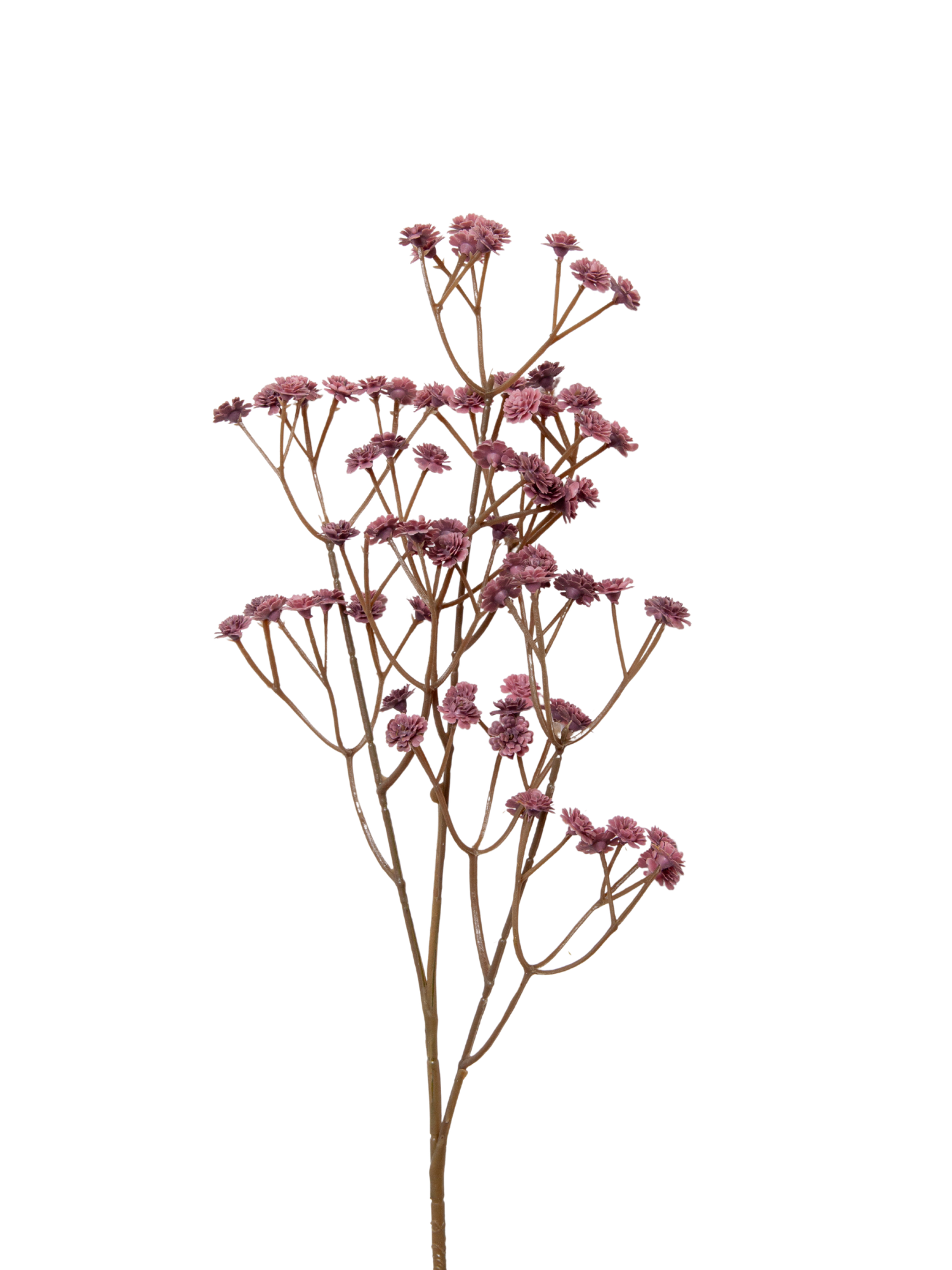 Plum Gypsophila - 62cm Pack of 1