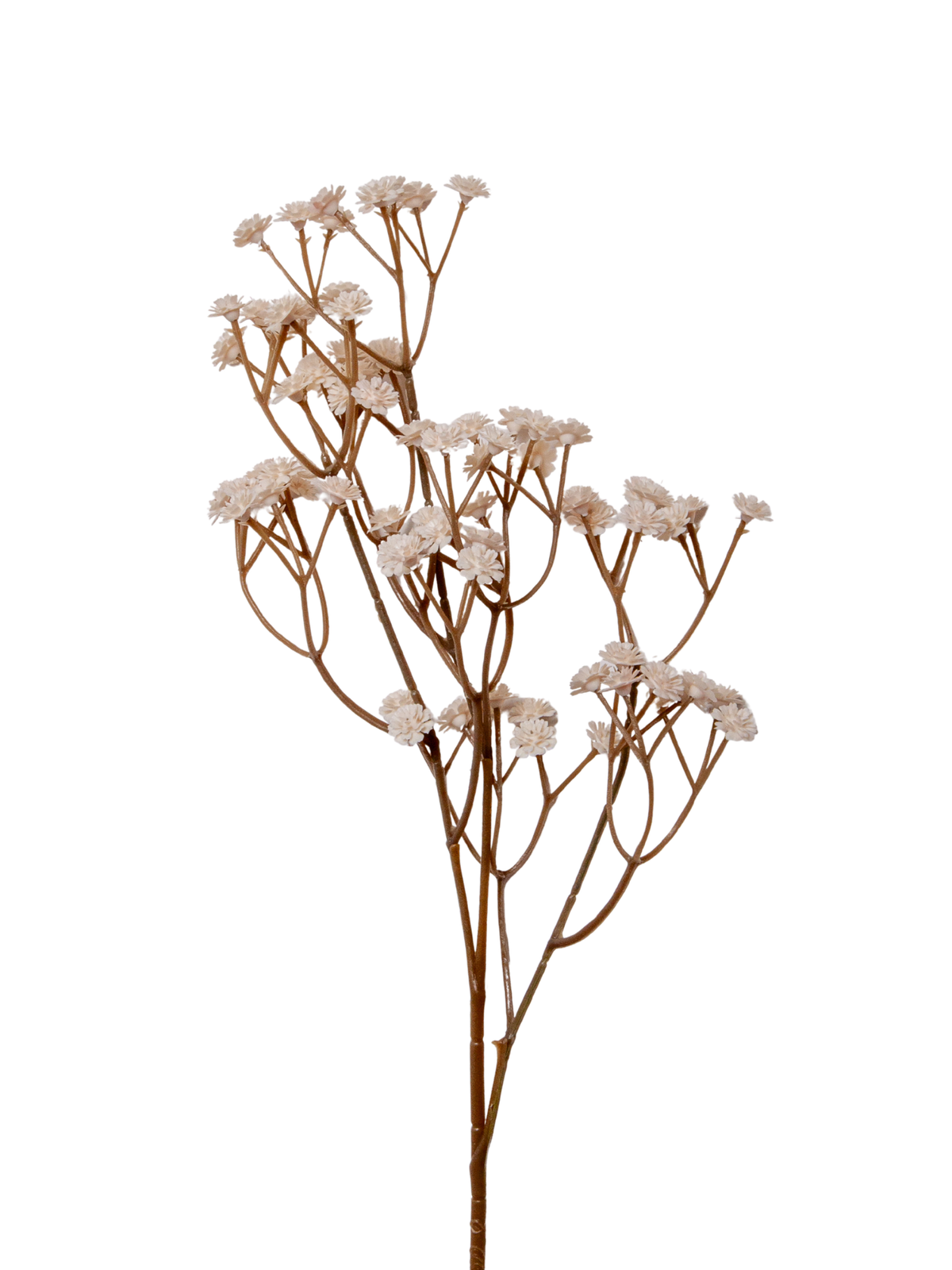 Antique Cream Gypsophila  - 62cm Pack of 1