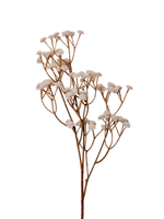 Cream Gypsophila  - 62cm