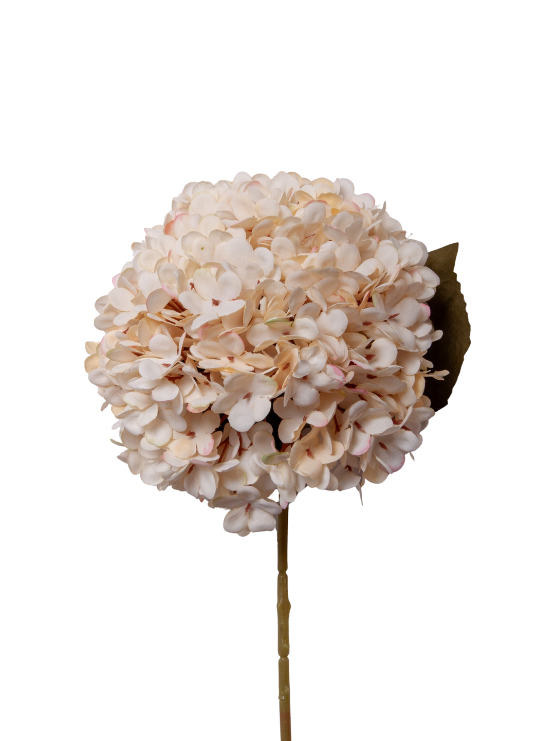 Antique Cream Hydrangea - 60cm Pack of 1