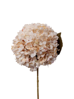 Cream Hydrangea - 60cm